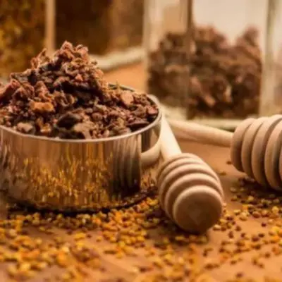 PROPOLIS