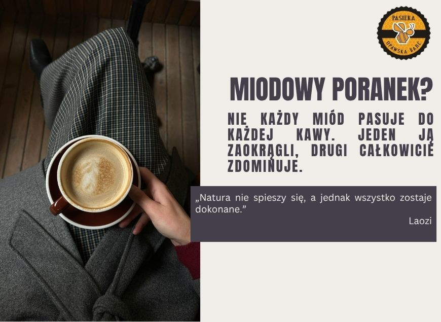 Jaki miód do kawy wybrać? Nie każdy pasuje tak samo