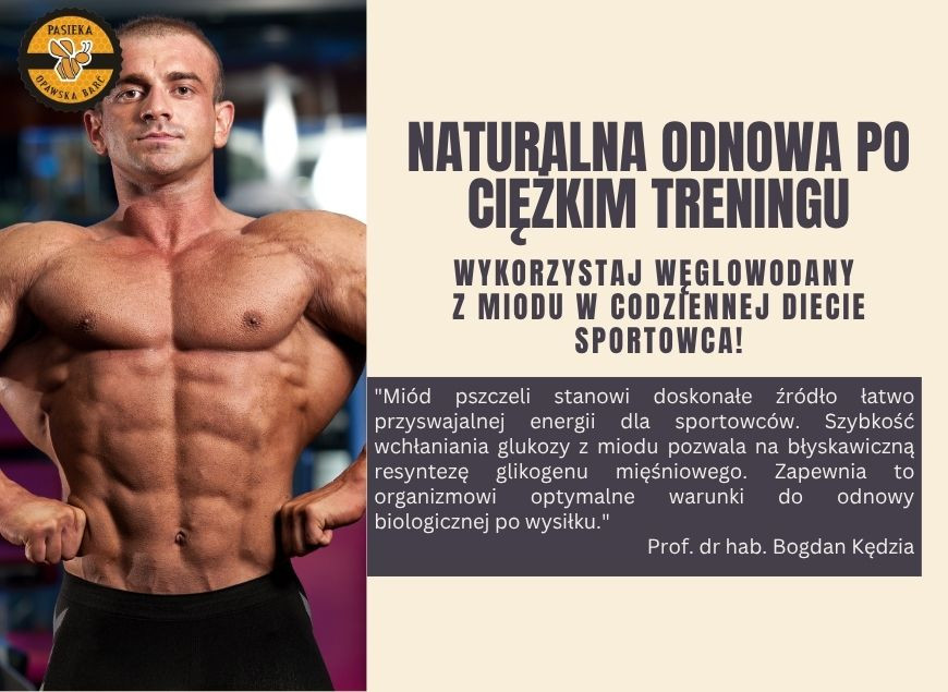 Miód po treningu – naturalne źródło węglowodanów dla aktywnych