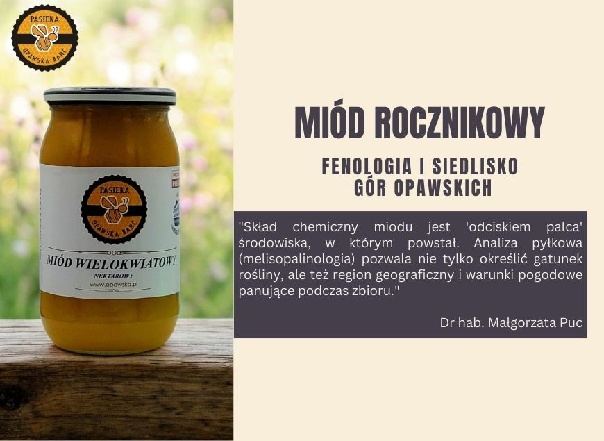 Twój Miód Smakuje Inaczej niż Rok Temu? To Dobrze! Fenologia i Terroir Gór Opawskich