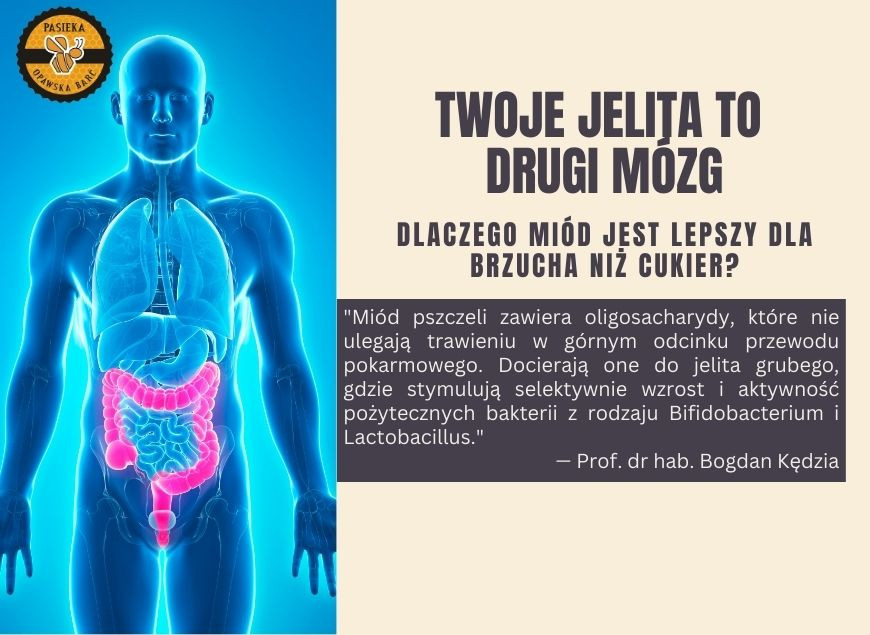 Twoje Jelita to Drugi Mózg: Dlaczego Miód Jest Lepszy dla Brzucha niż Cukier?