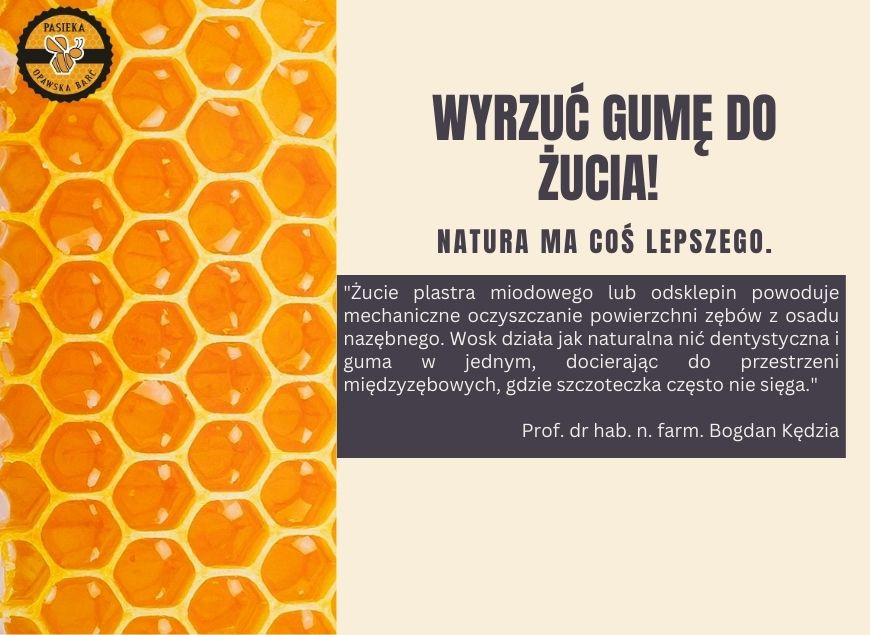 Naturalna Szczoteczka do Zębów: Dlaczego Warto Żuć Wosk Pszczeli? Chemia i Stomatologia